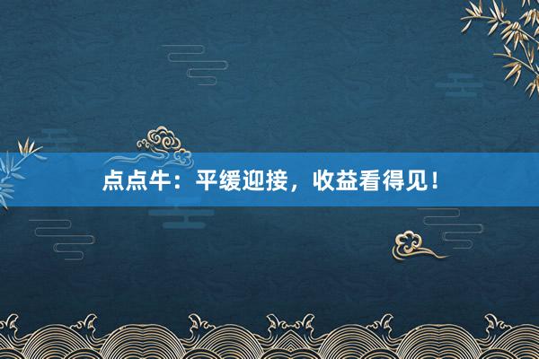 点点牛：平缓迎接，收益看得见！