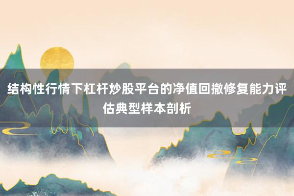 结构性行情下杠杆炒股平台的净值回撤修复能力评估典型样本剖析