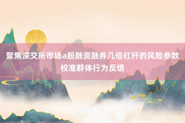 聚焦深交所市场a股融资融券几倍杠杆的风险参数校准群体行为反馈
