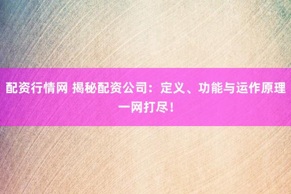 配资行情网 揭秘配资公司：定义、功能与运作原理一网打尽！
